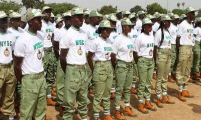 How to check nysc senate list